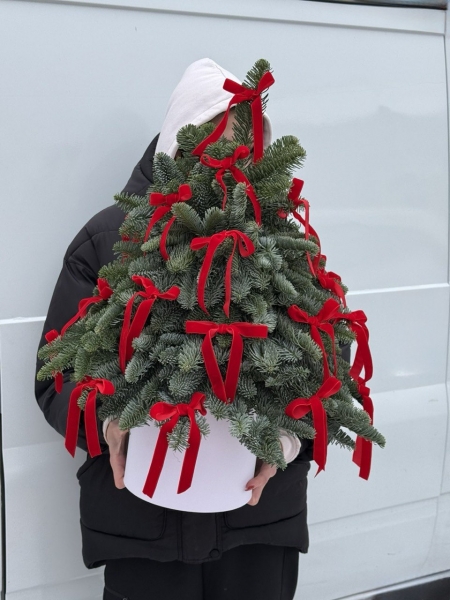 Новогодний подарок №1