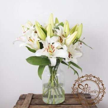 Лилия белая