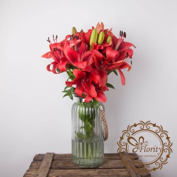 Лилия бордо