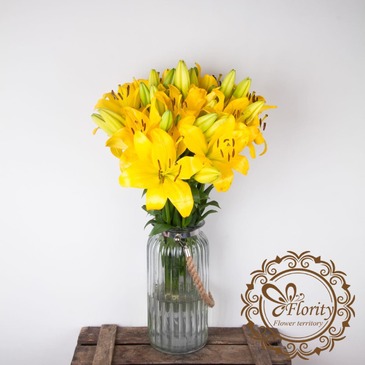 Лилия желтая