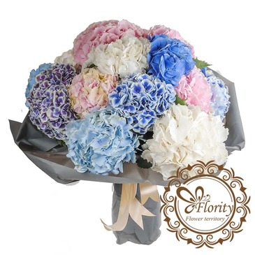 Bouquet Hydrangea №6