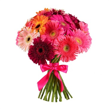 Bouquet Gerbera mix 25 pcs №10